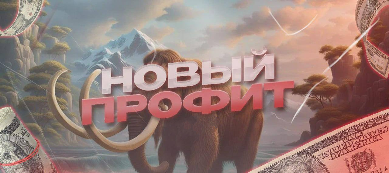 banner.jpg